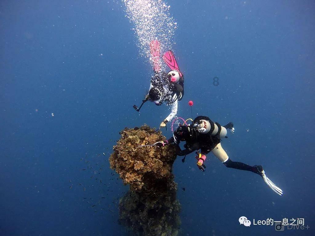 女生应该建议早点结婚吗？ 年龄大了就生不出孩子了